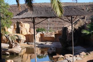 GC-Crocodilo Park 2020-039.JPG